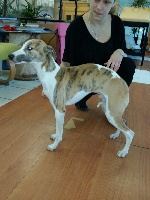CHIOT